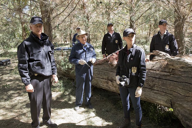 "16 Years" -- The NCIS murder case of a retired Navy Lieutenant Commander forces Ducky to reveal his participation in a secret society that solves cold cases, on NCIS, Tuesday, Nov. 3 (8:00-9:00 PM, ET/PT), on the CBS Television Network. Pictured left to right: Mark Harmon, Brian Dietzen, David McCallum, Michael Weatherly, Emily Wickersham and Sean Murray Photo: Robert Voets/CBS é2015 CBS Broadcasting, Inc. All Rights Reserved