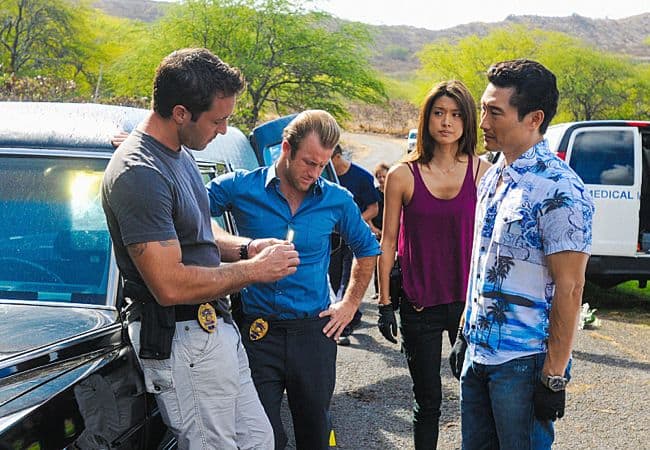 HAWAII FIVE 0 Season 3 Episode 15 Hookman