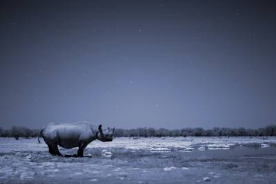 Africa Discovery Channel