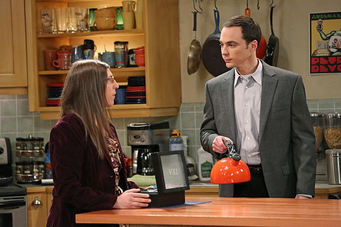 The Big Bang Theory Season 3 Episode 8