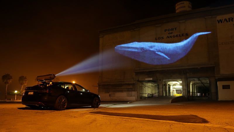 Discovery Channel Racing Extinction