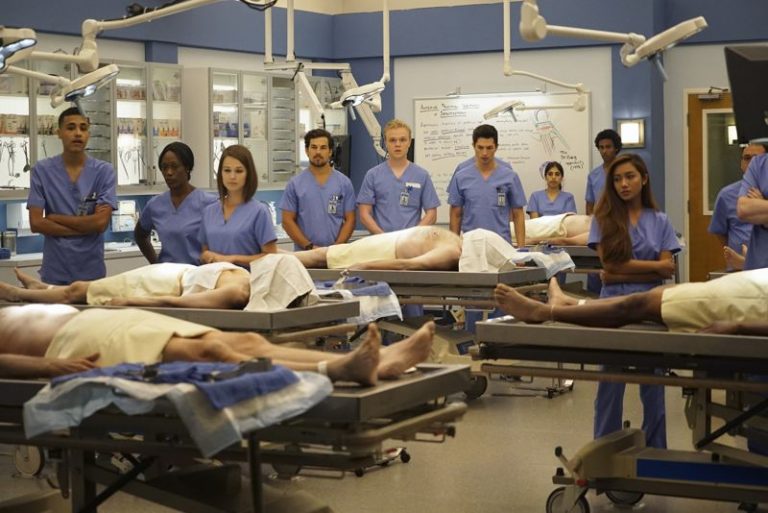 greys anatomy increases patient satisfaction essay The studies are claiming that the show could lead to unrealistic expectations and decreased patient satisfaction the grey’s anatomy. greys anatomy increases patient satisfaction essay The studies are claiming that the show could lead to unrealistic expectations and decreased patient satisfaction the grey’s anatomy.