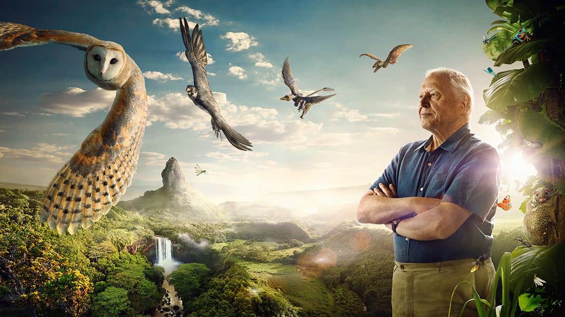 David-Attenborough-Conquest-of-The-Skies