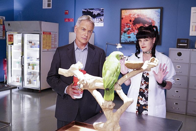 "Privileged Information" -- When the NCIS team investigates a marine sergeant's tragic fall from a building, her doctor, Grace Confalone (Laura San Giacomo), confides in Gibbs and suggests he treat it as a murder investigation. Also, Torres searches for a place to live, on NCIS, Tuesday, Oct. 4 (8:00-9:00 PM, ET/PT), on the CBS Television Network. Pictured: Mark Harmon, Pauley Perrette. Photo: Sonja Flemming/CBS é2016 CBS Broadcasting, Inc. All Rights Reserved "Privileged Information" -- When the NCIS team investigates a marine sergeant's tragic fall from a building, her doctor, Grace Confalone (Laura San Giacomo), confides in Gibbs and suggests he treat it as a murder investigation. Also, Torres searches for a place to live, on NCIS, Tuesday, Oct. 4 (8:00-9:00 PM, ET/PT), on the CBS Television Network. Pictured: Mark Harmon, Pauley Perrette. Photo: Sonja Flemming/CBS é2016 CBS Broadcasting, Inc. All Rights Reserved
