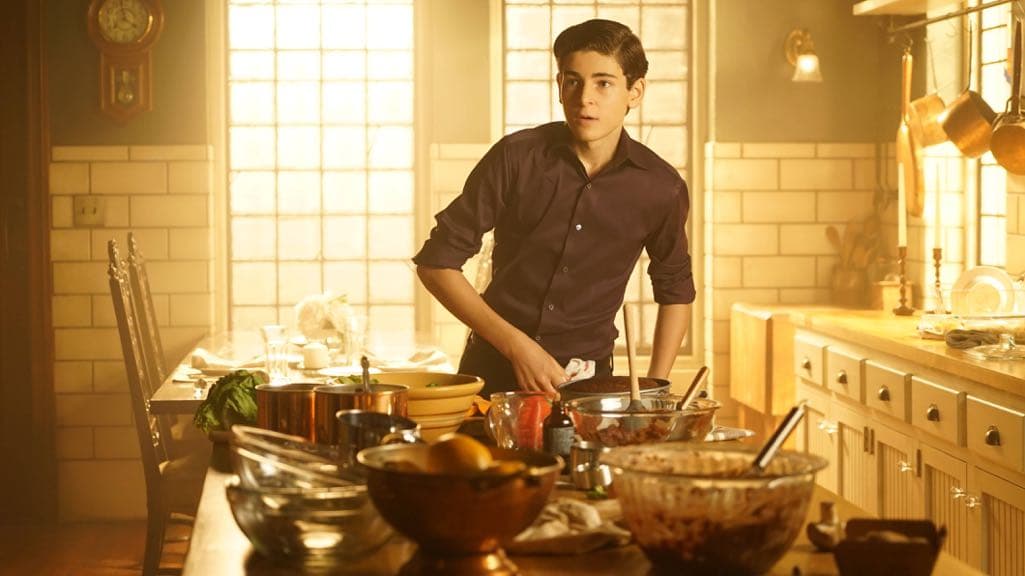 GOTHAM: David Mazouz in the “Mad City: Red Queen” episode of GOTHAM airing Monday, Oct. 31 (8:00-9:01 PM ET/PT) on FOX. ©2016 Fox Broadcasting Co. Cr: Nicole Rivelli/FOX.