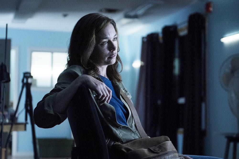 EYEWITNESS -- "Bella, Bella, Bella" Episode 103 -- Pictured: Julianne Nicholson as Helen Torrance -- (Photo by: Christos Kalohoridis/USA Network) EYEWITNESS -- "Bella, Bella, Bella" Episode 103 -- Pictured: Julianne Nicholson as Helen Torrance -- (Photo by: Christos Kalohoridis/USA Network)