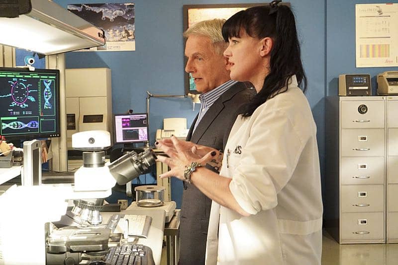 "Shell Game" -- After a kidnapped petty officer escapes her captor, NCIS uncovers a connection to her missing husband. Also, Abby knits the NCIS newbies personalized gifts, on NCIS, Tuesday, Oct. 25 (8:00-9:00 PM, ET/PT), on the CBS Television Network. Pictured: Mark Harmon, Pauley Perrette. Photo: Bill Inoshita/CBS é2016 CBS Broadcasting, Inc. All Rights Reserved