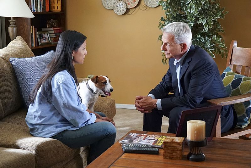 "Shell Game" -- After a kidnapped petty officer escapes her captor, NCIS uncovers a connection to her missing husband. Also, Abby knits the NCIS newbies personalized gifts, on NCIS, Tuesday, Oct. 25 (8:00-9:00 PM, ET/PT), on the CBS Television Network. Pictured: Emily Alabi, Mark Harmon. Photo: Bill Inoshita/CBS é2016 CBS Broadcasting, Inc. All Rights Reserved