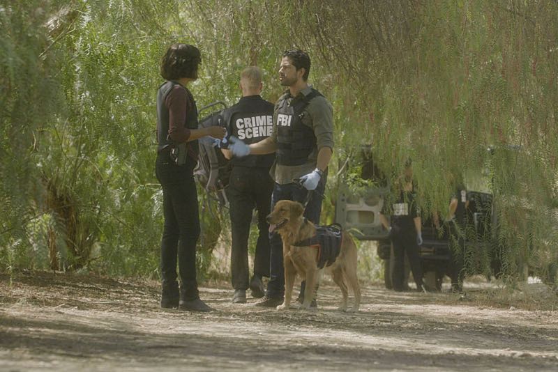"Keeper" -- The BAU team searches for a serial killer along the Appalachian Trail in rural Virginia, on CRIMINAL MINDS, Wednesday, Oct. 26 (9:00-10:00 PM, ET/PT), on the CBS Television Network. Pictured: Aisha Tyler (Dr. Tara Lewis), Adam Rodriguez (Luke Alvez) Photo: CBS é2016 CBS Broadcasting, Inc. All Rights Reserved