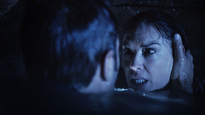 "HÃ
« a'e ke ahi lanakila a Kamaile" -- Five-0 must find McGarrett and Alicia when they are kidnapped by the serial killer they've been hunting, on HAWAII FIVE-0, Friday, Oct. 14 (9:00-10:00 PM, ET/PT), on the CBS Television Network. Former professional football player Otis Wilson guest stars as himself. Pictured: Claire Forlani as Alicia Brown. Photo: CBS é2016 CBS Broadcasting, Inc. All Rights Reserved ("HÃ
« a'e ke ahi lanakila a Kamaile" is Hawaiian for "The Fire of Kamile Rises in Triumph")