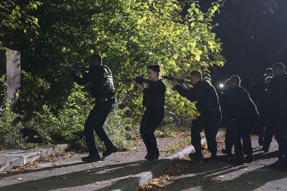 BLINDSPOT -- "Why Let Cooler Pasture Deform" Episode 209 -- Pictured: Archie Panjabi as Nas Kamal -- (Photo by: Virginia Sherwood/NBC) BLINDSPOT -- "Why Let Cooler Pasture Deform" Episode 209 -- Pictured: Archie Panjabi as Nas Kamal -- (Photo by: Virginia Sherwood/NBC)