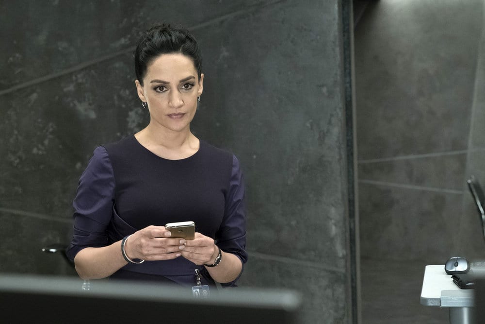 BLINDSPOT -- "Why Let Cooler Pasture Deform" Episode 209 -- Pictured: Archie Panjabi as Nas Kamal -- (Photo by: Virginia Sherwood/NBC)