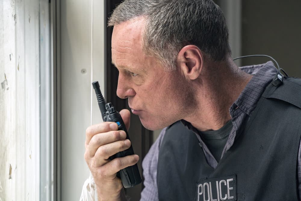 Chicago P.D. - Season 5 Jason Beghe as Hank Voight Chicago P.D. - Season 5 Jason Beghe as Hank Voight