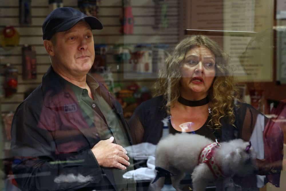 THE BLACKLIST -- "Ilyas Surkov (#54)" Episode 505 -- Pictured: (l-r) James Spader as Raymond "Red" Reddington, Aida Turturro as Heddie Hawkins -- (Photo by: Will Hart/NBC)