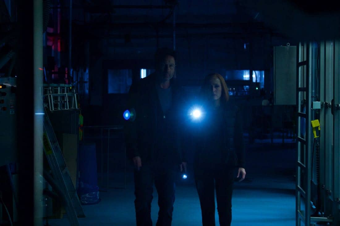 THE X-FILES: L-R: David Duchovny and Gillian Anderson in the "Rm9sbG93ZXJz" episode of THE X-FILES airing Wednesday, Feb. 28 (8:00-9:00 PM ET/PT) on FOX. ©2018 Fox Broadcasting Co. Cr: Shane Harvey/FOX
