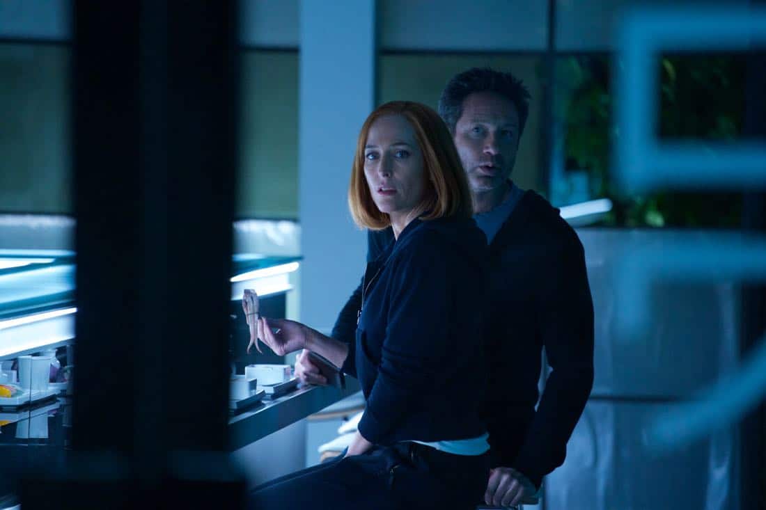 THE X-FILES: L-R: Gillian Anderson and David Duchovny in the "Rm9sbG93ZXJz" episode of THE X-FILES airing Wednesday, Feb. 28 (8:00-9:00 PM ET/PT) on FOX. ©2018 Fox Broadcasting Co. Cr: Shane Harvey/FOX