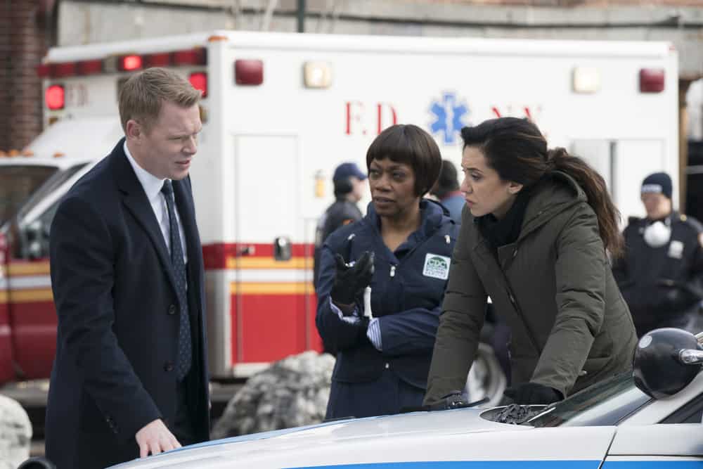 THE BLACKLIST -- "Pattie Sue Edwards (#68)" Episode 515 -- Pictured: (l-r) Diego Klattenhoff as Donald Ressler, Regina Taylor as Dr. Hannah Moshay, Mozhan Marnò as Samar Navabi -- (Photo by: Virginia Sherwood/NBC)