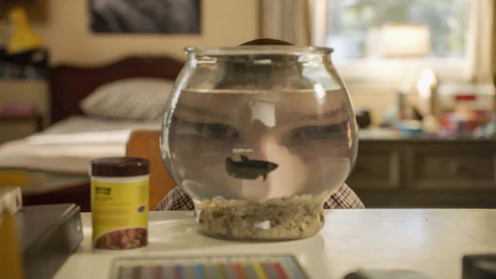 "A Dog, a Squirrel, and a Fish Named Fish" - Pictured: Sheldon (Iain Armitage). A battle erupts between the Coopers and Sparks when the Sparks' new dog terrorizes Sheldon, on YOUNG SHELDON, Thursday, April 26 (8:31-9:01 PM, ET/PT) on the CBS Television Network. Photo: Screen Grab/Warner Bros. Entertainment Inc. é 2018 WBEI. All rights reserved.