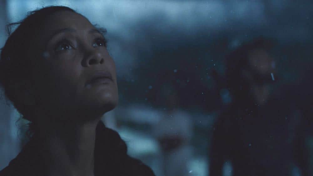 Episode 13 (season 2, episode 3), debut 5/6/18: Thandie Newton. photo: HBO