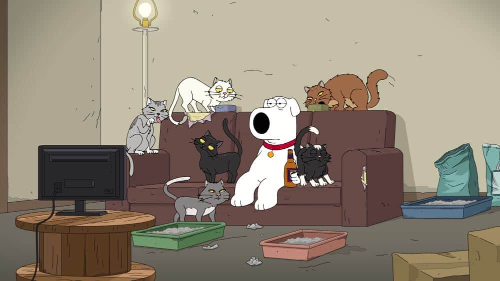 FAMILY GUY: In Part One of a special two-part story, Brian meets and quickly falls in love with a woman named Jess (guest voice Casey Wilson), who reveals she has cancer. After she receives devastating news regarding her diagnosis, Brian proposes marriage to her in the all-new “Married With Cancer” Season 17 premiere episode of FAMILY GUY airing Sunday, Sept. 30 (9:00-9:30 PM ET/PT) on FOX.. FAMILY GUY ™ and © 2018 TCFFC ALL RIGHTS RESERVED. CR: FOX