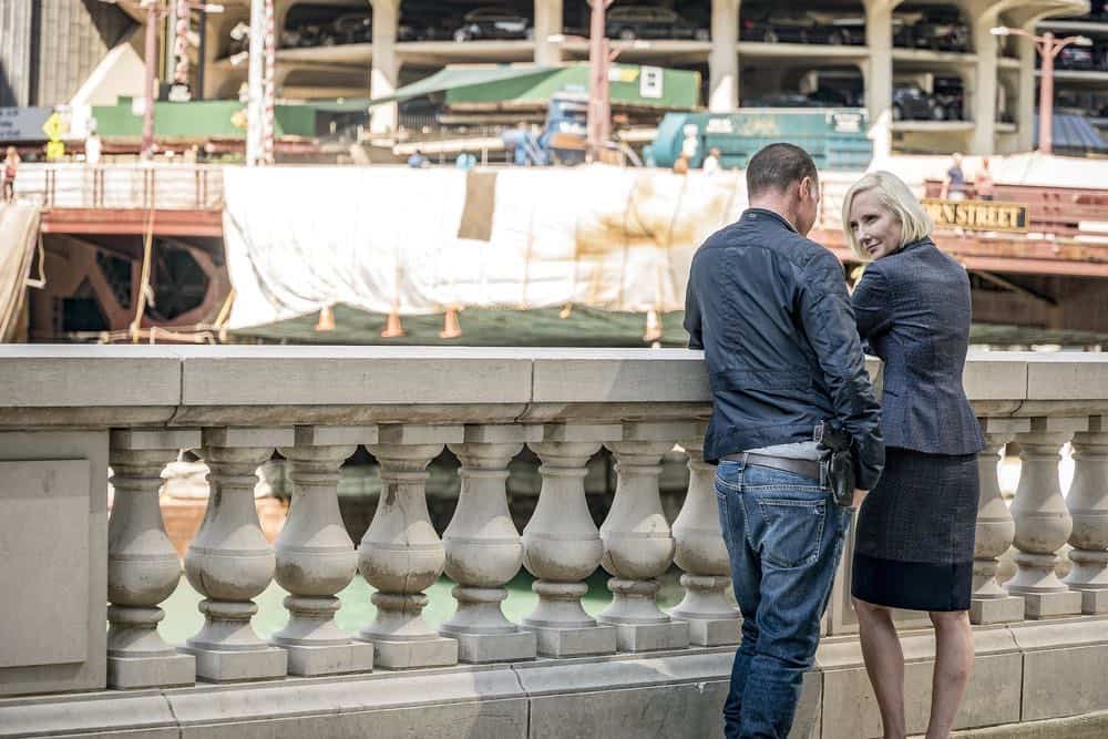 CHICAGO P.D. -- "New Normal" Episode 601 -- Pictured: (l-r) Jason Beghe as Hank Voight, Anne Heche as Katherine Brennan -- (Photo by: Matt Dinerstein/NBC)