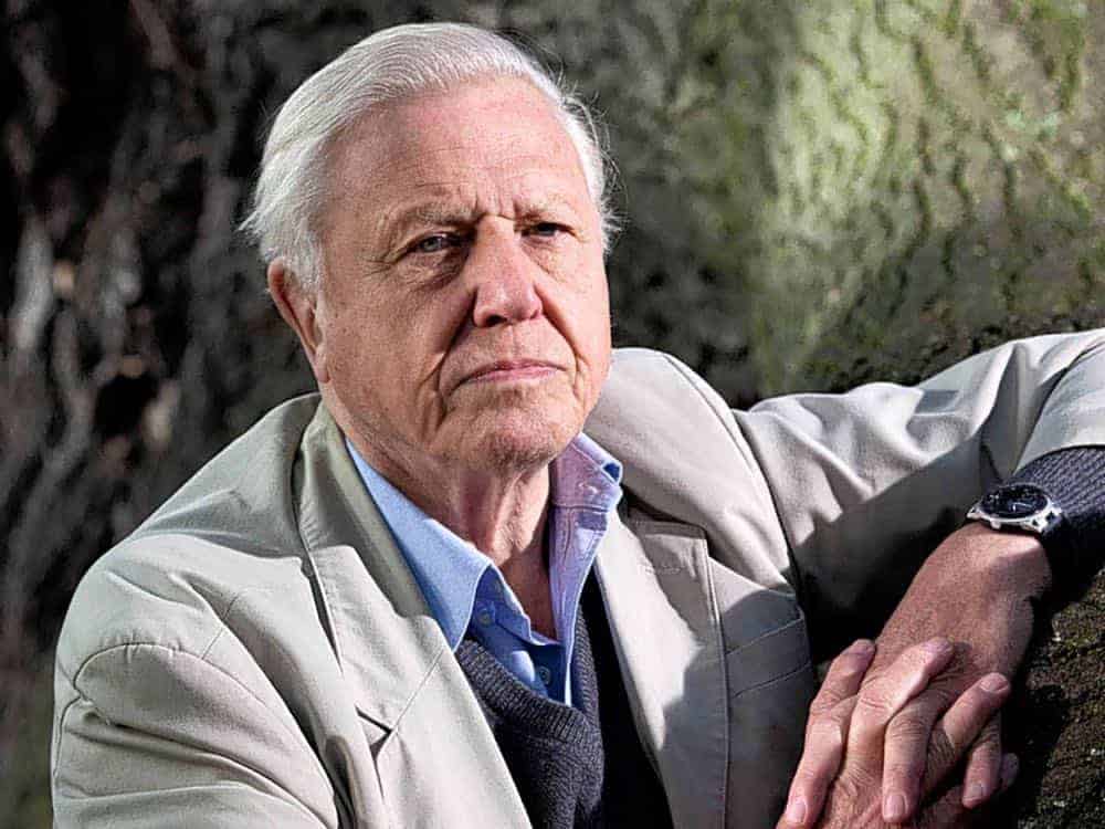 sir David attenborough